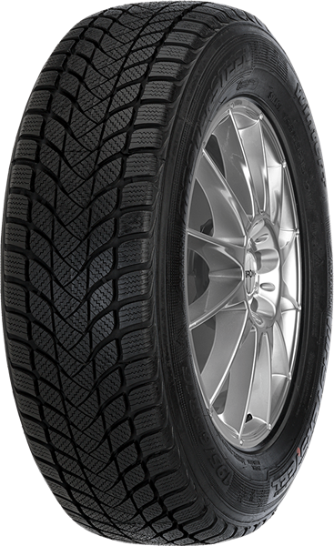 Mastersteel WINTER + W1 225/55 R17 97 H